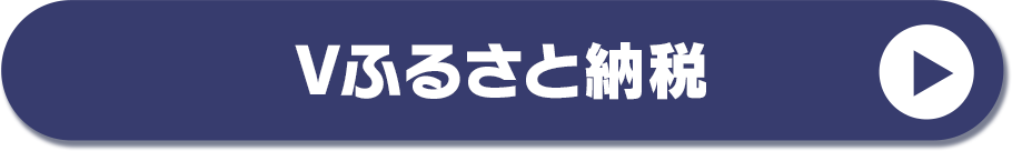 Vふるさと納税